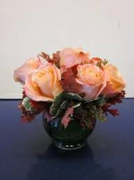 We did not find results for: Santa Monica Ca Florists Flowers Santa Monica Ca Ann S Flowers Of Santa Monica