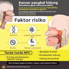 Kanser limfoma dikenali sebagai kanser kalenjar dimana ia lebih sinonim dikatakan kanser kelenjar darah. Ketahui Simptom Simptom Kementerian Kesihatan Malaysia Facebook