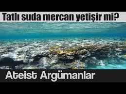 Tatli Sudan Inci Ve Mercan Cikar Mi Kuran Da Hatali Bilgi Iddiasi Youtube