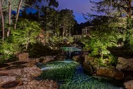 Downlights Vs Submersible Pond Lights Which Option Will Make Your Pond Sparkle