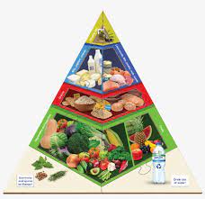 Limit intake of fats, oils, sugars and salts. Large Food Pyramid Floor Puzzle Food Pyramid Puzzle 10 Pieces Transparent Png 1000x1000 Free Download On Nicepng