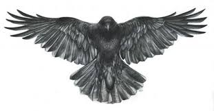 Bird With Wings Spread Tattoo Open Wings Flying Crow Tattoo Design Idea Crow Tattoo Crow Tattoo Design Raven Tattoo