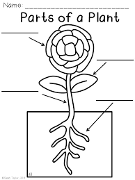 Your kids will increase their vocabulary by learning about different anima. Coloring Pages For Plant Parts