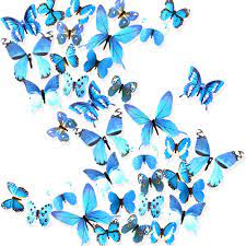 We did not find results for: Amazon Com Ewong Butterfly Wall Decals 36pcs 3d Butterflies Home Decor For Room Wall Sticker For Girls Room Kids Bedroom Bathroom Baby Nursery Decoration Blue Kitchen Dining