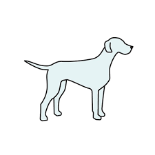 Bowsers luxury cushioned oval donut dog bed chenille fabric. Large Dog Beds You Ll Love In 2021 Wayfair Ca