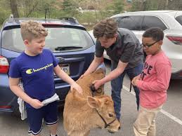 Woodsdale Elementary Gets 'Book Barn' And Visit From Farm Animals