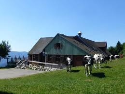 Ferme Auberge Du Gaschney Muhlbach Sur Munster Haut Rhin Ferme Auberge Ferme Auberge Alsace Ferme Auberge Vosges