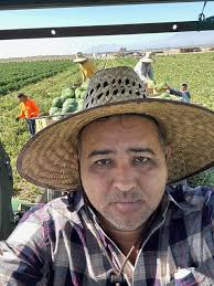 Where is the best place to buy Posey co melons? 😋