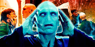 Why Voldemort Killed Harry Potter'S Parents? - Peto Rugs