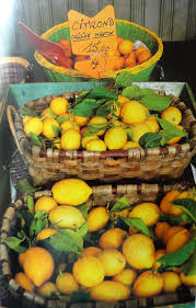 Les Citrons De Menton En Provence Food Europe Food Forest Delicious Fruit