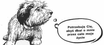 Znalezione obrazy dla zapytania adopcja psa