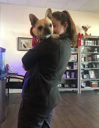 Top keywords % of search traffic. Veterinary Center Pet Hospital Veterinary Care Saint Petersburg Florida 4th Street Pet Hospital