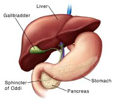 The pancreas is located behind the stomach in the upper left abdomen. Sphincter Of Oddi Dysfunction Saint Luke S Health System