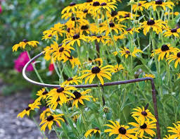 Where to see them this spring. August Gardening Checklist For Pacific Northwest Garden Design