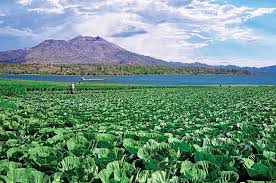 تعرف على البراكين ولماذا هي أكثر ما في الطبيعة إثارة للرهبة