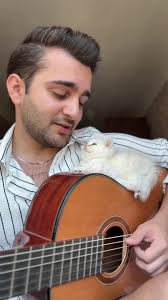 Emotional Cat Video: Skip That Song With Memories