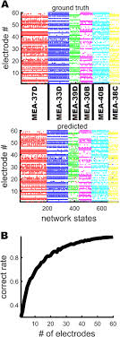 Check spelling or type a new query. 26th Annual Computational Neuroscience Meeting Cns 2017 Part 3 Bmc Neuroscience Full Text