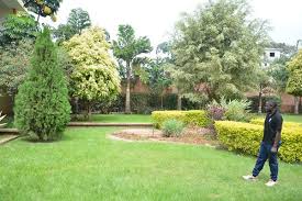 Look for ideas or just enjoy the impressive homes from around the. Design Compounds For Cash Daily Monitor