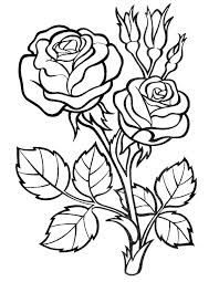 Rose Ausmalbilder Drucken Sie Die Blumenkonigin Online