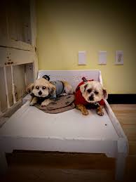 We did not find results for: Paradise For Pets Grooming And Boarding Home Facebook