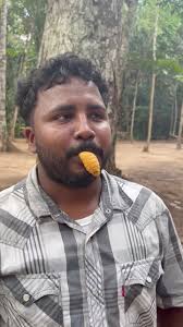 Easiest fudge recipe with milk flavor