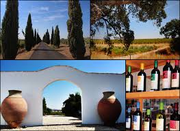 Choose the combination that suits you and save as much as $583*. Cortes De Cima Vidigueira Vinhoportugal