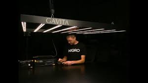 Gavita 1000w de hps pro lamp: Gavita 1700e Led Grow Light Test And Review Youtube