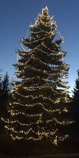 Indoor Outdoor Holiday Tree Lighting Eagle Summit And Pitkin County