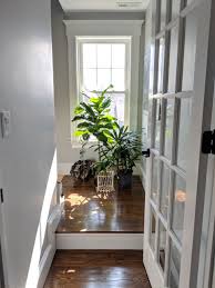 8:59 lavendaire recommended for you. Interior Plants For A New Residence Victorian Hallway Landing Boston By Garden Streets Houzz Uk