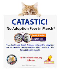 New pet alert from adoptapet.com. News Events Friends Of Long Beach Animals