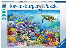 Tripadvisor has 4,210 reviews of ravensburg hotels, attractions, and restaurants making it your best ravensburg resource. Ravensburger 16704 Lebendige Unterwasserwelt Puzzle Kaufen Spielwaren Thalia