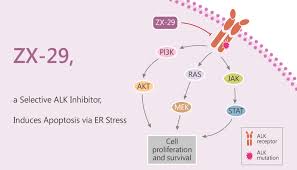 Image result for ALK Inhibitor