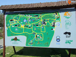 4.6 out of 5 stars. Polska Zamosc Mapa Zoo W Zamosciu Travelpasja Pl