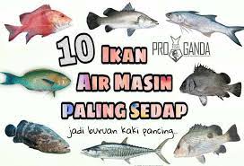 Ikan cupang hidup di air tawar yang lebih mudah dirawat dan dipelihara daripada ikan laut. Kenali Spesis Ikan Dan Jenis Ikan Yang Ada Di Restoran D Perahu Restoran D Perahu Ikan Bakar Masakan Ala Thai Bandar Rawang Facebook