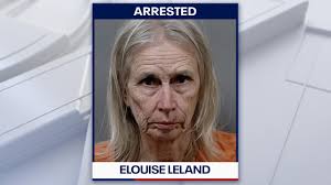 Hernando woman arrested, 90 dogs rescued from 'deplorable' home: CCSO