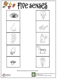 Printable Five Senses Worksheet Five Senses Worksheet Preschool Math Worksheets Kids Worksheets Preschool