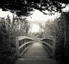 Massachusetts avenue bridge and boston skyline, reflected in the charles river at night. Bridge Life Black And White Free Photo On Pixabay