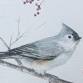 Paint 'n' Sip: Tufted Titmouse event image