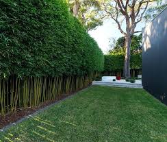 When it comes to increasing the privacy of your backyard, there's several options that can improve the aesthetics and security of your space. 15 Smart Concepts How To Make Backyard Privacy Landscaping Ideas Simphome