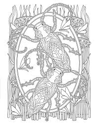 Creative Haven Awesome Insect Coloring Pages Google Search Designs Coloring Books Mandala Coloring Pages Insect Coloring Pages