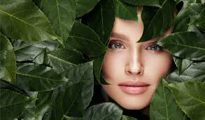 Coloration végétale cheveux blancs henné cheveux blancs coloration au henné coiffure simple cheveux longs colloration cheveux couleur de 5 conseils pour bien colorer ses cheveux blancs naturellement avec la coloration végétale +la liste de mes produits naturels favoris pour les cheveux. Coloration Vegetale Chez Hairborist Nous Cassons Les Idees Recues