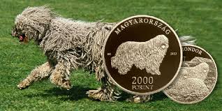 We charge a $350 refundable deposit for each pet. The Komondor New Coin In Hungarian Dog Breed Series