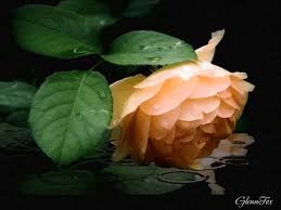 Die deutsche übersetzung von unchained melody und andere the righteous brothers lyrics und videos findest du kostenlos auf songtexte.com. Ghost Nachricht Von Sam Unchained Melody Youtube