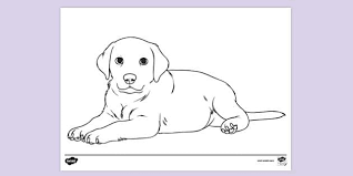 Welcome to the coloring pages for puppy pictures. Free Cute Puppy Colouring Page Colouring Activity For Kids