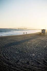 43 Best Seal Beach Images Seal Beach Beach Seal Beach