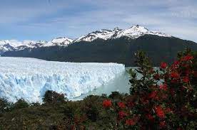 There may not be much to see in town but it can be a base for exploring the wider area. 7 Rio Gallegos Argentina Ideas Rio Gallegos Santa Cruz Patagonia