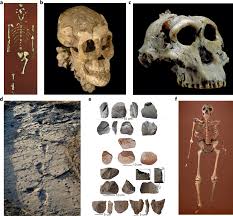 Jun 14, 2021 · boy, those crazy lefties really stepped in it this time. Connecting Palaeoscientists In Eastern Africa And The Wider World Nature Ecology Evolution
