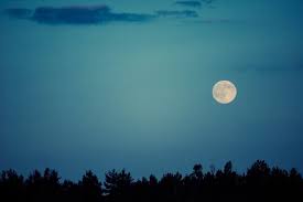 Image result for the moon