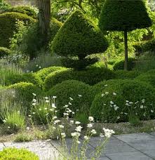 The Limestone Chipping Surface Is Planted With Low Box Hedges Which Form A Criss Cross Pattern A Contemporary Modern Garden Garden Design Garden Landscaping