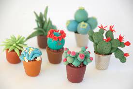 How to propagate cacti using offsets/pups: Oven Baked Clay Ideas Hgtv